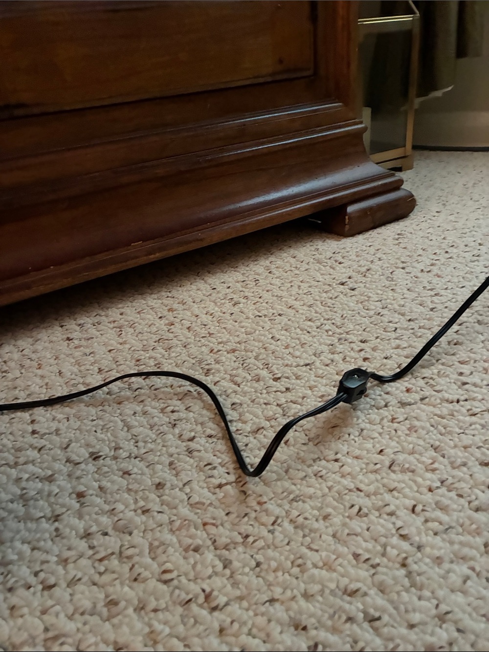 Black Cat Light Décor for Cats - Picture 12 of 16